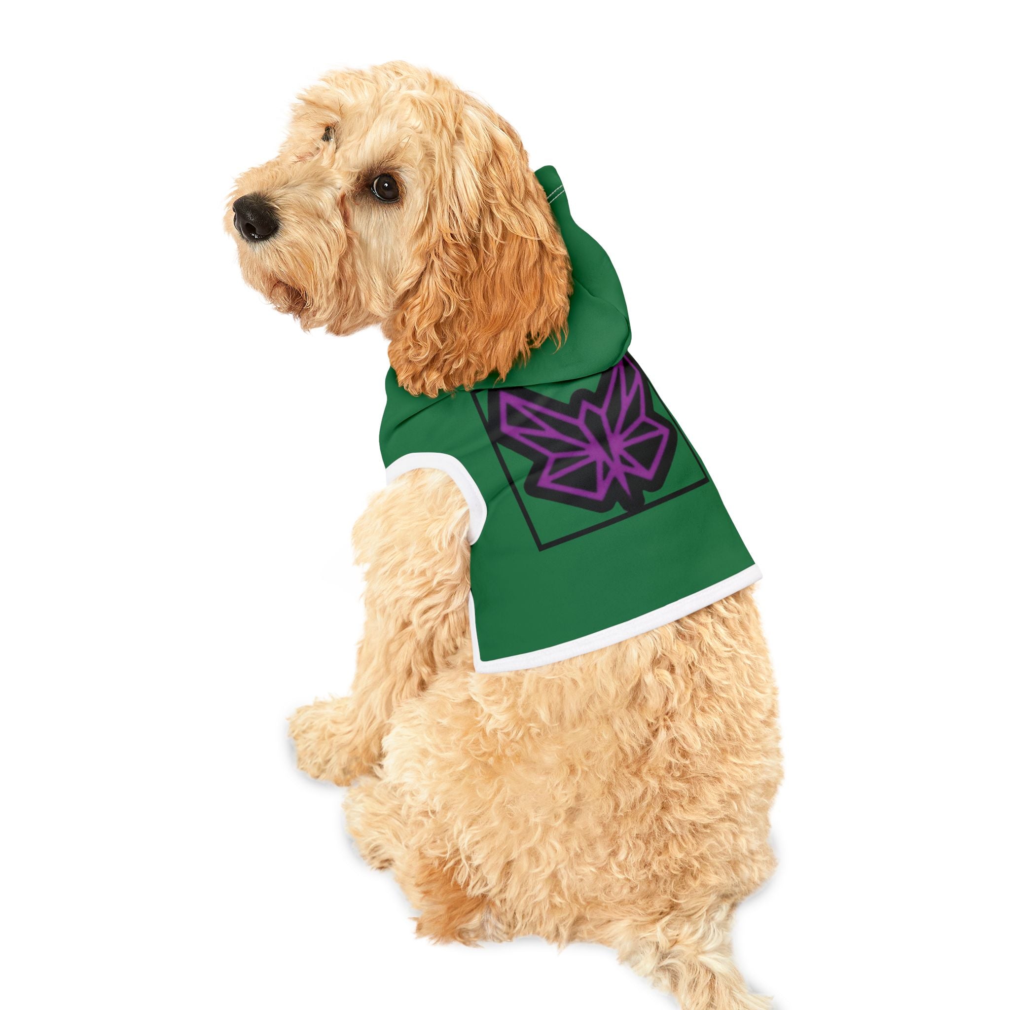 SRWisdom Pet Hoodie [Spinetical 0-1-0]