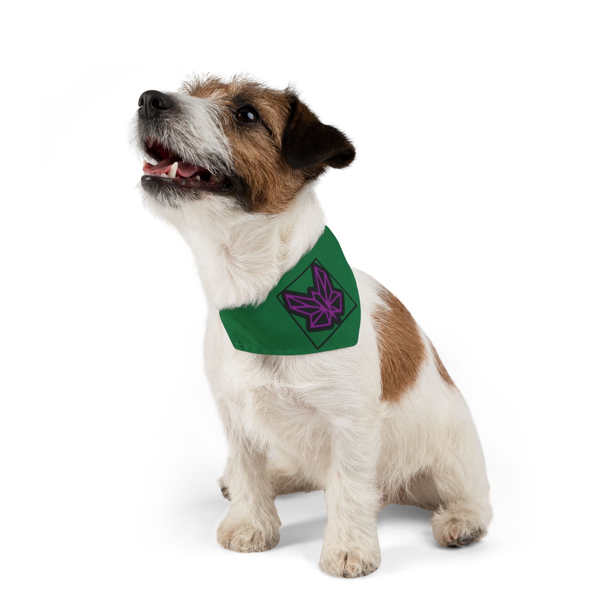 SRWisdom Pet Bandana Collar [Spinetical 0-1-0]