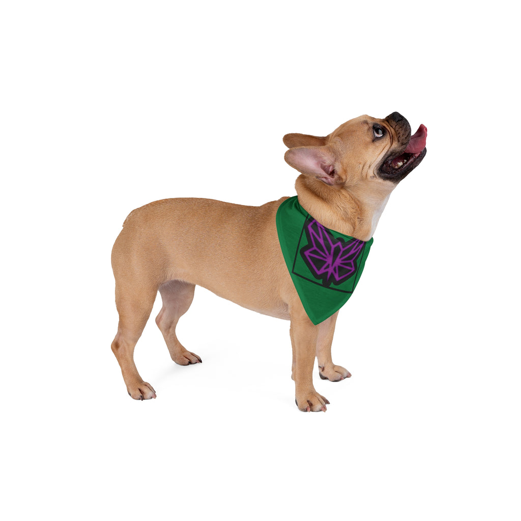 SRWisdom Pet Bandana [Spinetical 0-1-0]