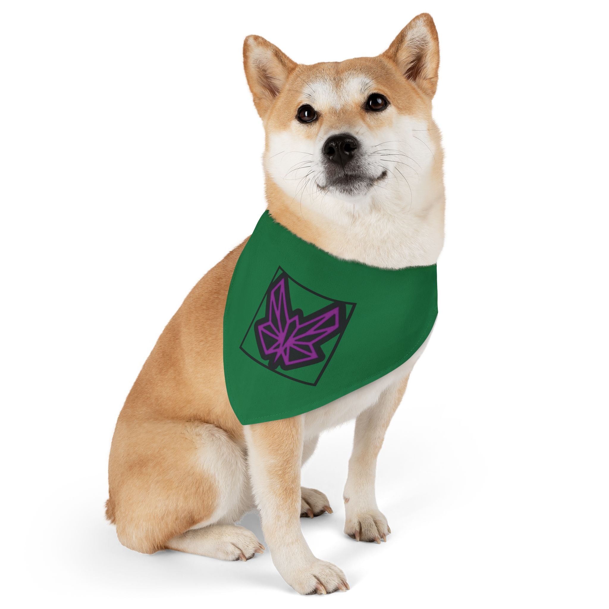 SRWisdom Pet Bandana Collar [Spinetical 0-1-0]