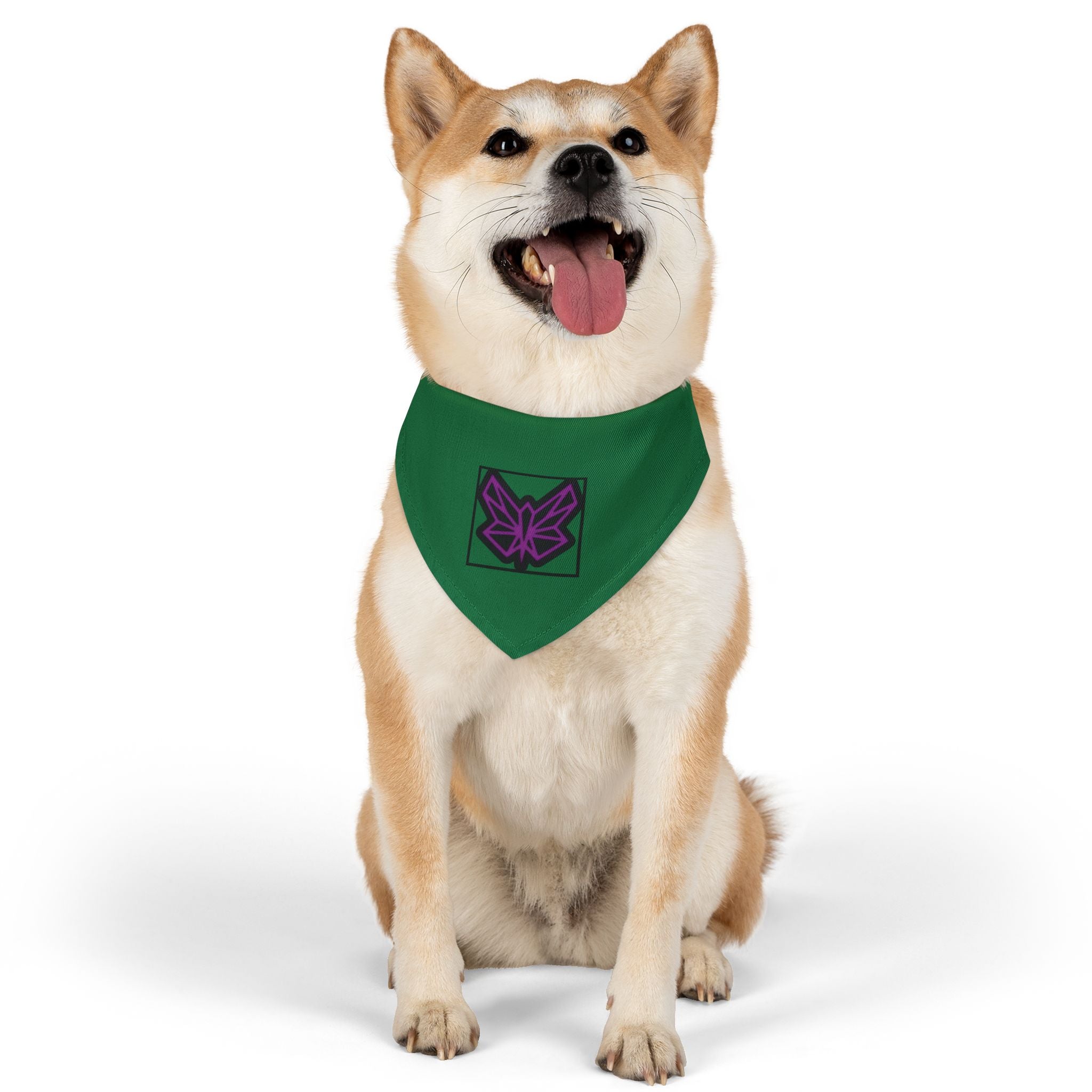 SRWisdom Pet Bandana Collar [Spinetical 0-1-0]